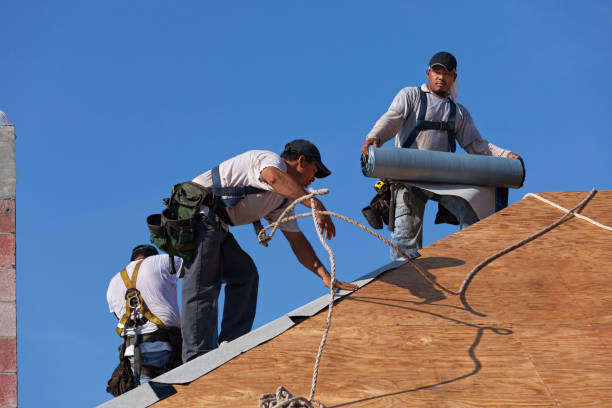 Best Roof Leak Repair  in Deephaven, MN